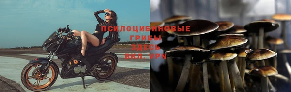 ГАЛЛЮЦИНОГЕННЫЕ ГРИБЫ Алзамай
