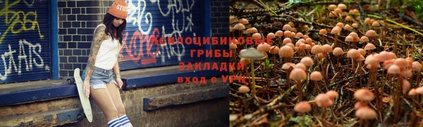 Альфа ПВП Алексин