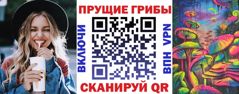сколько стоит  Пенза  Галлюциногенные грибы мицелий 