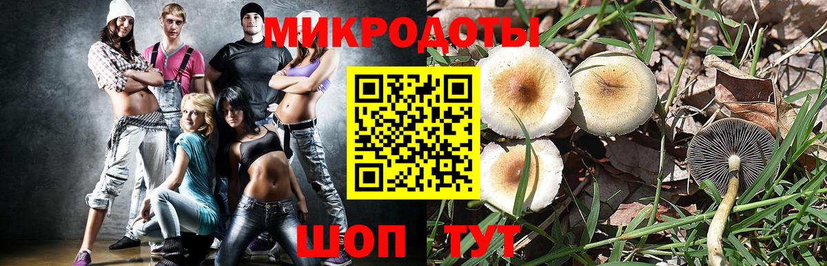 Псилоцибиновые грибы мухоморы Пенза